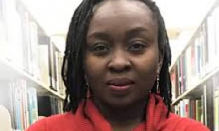 IBB’s presidential library should be painted red - Abimbola Adelakun