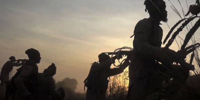 Bandits kill 19, rustle livestock in Bauchi