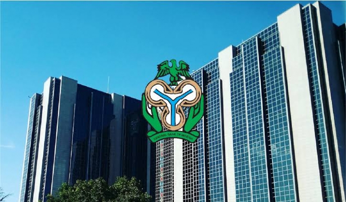 Nigeria records $6.83bn balance of payments surplus for 2024, remittances hit $20.93bn