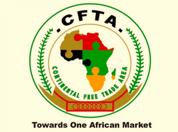 Nigeria implements key AfCFTA trade agreement, eliminating tariffs on 90% of African goods