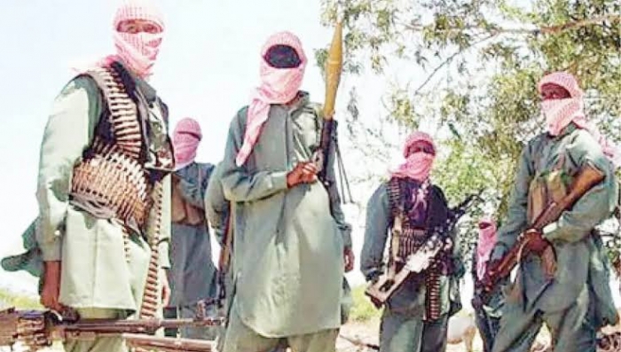 Bandits attack 50 communities in Zamfara, kill 49